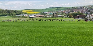 Böllerschützentreffen Neubrunn 2023