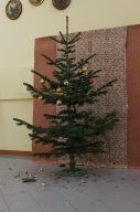 Christbaumkugelschießen 2026